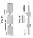 Fig. 03 - Dimming ballast and method