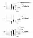 Fig. 07 - Self-calibrating a radar altimeter based on a simulated return signal