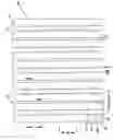 Fig. 02 - Single polarization slot antenna array with inter-element capacitive coupling plate and associated methods