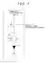 Fig. 07 - Self light emission display device, power consumption detecting device, and program