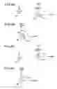 Fig. 09 - Method of causing first object to take motion according to positional relationship with second object