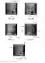 Fig. 03 - Accelerated statistical rendering methods and apparatus