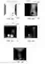 Fig. 06 - Accelerated statistical rendering methods and apparatus