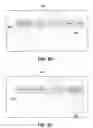 Fig. 06 - Voice and video control of interactive electronically simulated environment