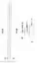 Fig. 10 - Nozzle check pattern and liquid droplet ejection apparatus