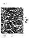Fig. 03 - Electronically-controllable polarization independent liquid crystal optical medium and devices using same