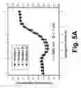 Fig. 05 - Electronically-controllable polarization independent liquid crystal optical medium and devices using same