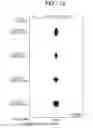 Fig. 12 - Rear projection type image display device
