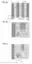 Fig. 08 - Lithographic apparatus and device manufacturing method using interferometric and maskless exposure units