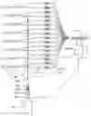 Fig. 01 - Detector and screening device for ion channels