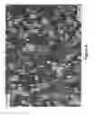 Fig. 11 - Security device with metameric features using diffractive pigment flakes