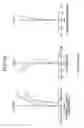 Fig. 11 - Bent zoom lens