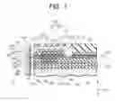 Fig. 02 - Perpendicular magnetic recording head device capable of increasing magnetic field gradient to exhibit excellent recording performance while maintaining magnetic field intensity