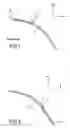 Fig. 02 - LIGHTING OR SIGNALLING DEVICE WITH A LIGHT GUIDE, FOR A MOTOR VEHICLE