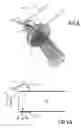 Fig. 07 - LIGHTING OR SIGNALLING DEVICE WITH A LIGHT GUIDE, FOR A MOTOR VEHICLE