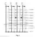 Fig. 06 - Method and apparatus for operating a string of charge trapping memory cells