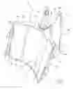 Fig. 02 - Mixing member for blenders