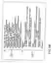 Fig. 30 - INFORMATION STORAGE MEDIUM, INFORMATION REPRODUCING APPARATUS, AND INFORMATION REPRODUCING METHOD