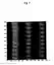 Fig. 08 - Super-resolution optical recording medium and method for recording information on super-resolution optical recording medium