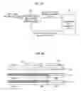 Fig. 40 - Optical storage medium, optical read/write apparatus, and optical read/write method