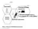 Fig. 02 - Method and system for wireless LAN network detection