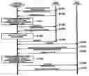Fig. 01 - Wireless communication terminal requesting content of broadcast/multicast to handoff destination base station