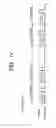 Fig. 15 - Communication system, communication apparatus, communication method and base station