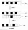 Fig. 03 - Method for rate matching in data transmission