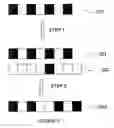 Fig. 04 - Method for rate matching in data transmission