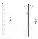 Fig. 05 - Decision feedback equalization with composite trellis slicer