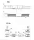 Fig. 02 - Apparatus for generating and interpreting a data stream modified in accordance with the importance of the data