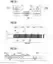 Fig. 03 - Apparatus for generating and interpreting a data stream modified in accordance with the importance of the data