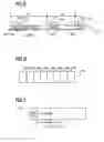 Fig. 05 - Apparatus for generating and interpreting a data stream modified in accordance with the importance of the data