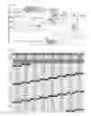 Fig. 03 - Method and system for detecting transmitted data signal quality and integrity
