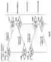 Fig. 53 - Multi-antenna reception apparatus, multi-antenna reception method, multi-antenna transmission apparatus and multi-antenna communication system