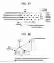 Fig. 20 - X-RAY CT IMAGING METHOD AND X-RAY CT APPARATUS