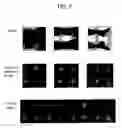 Fig. 08 - System and method for image composition using position sensors