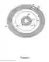 Fig. 03 - Concentric radial ring motor