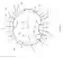 Fig. 04 - Standoff iris recognition system