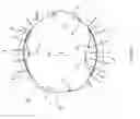 Fig. 06 - Standoff iris recognition system