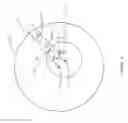 Fig. 10 - Standoff iris recognition system