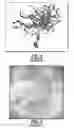 Fig. 05 - Simultaneous generation of different data sets from a single acquisition run and dual rendering of images