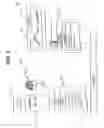 Fig. 05 - Method for processing unenhanced medical images