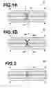 Fig. 02 - Optical device having connections with optical members through protective medium