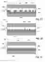 Fig. 04 - Dual core corrugated Bragg grating