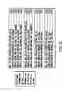 Fig. 24 - Information recording method, information recording medium, and information reproducing method, wherein information is stored on a data recording portion and a management information recording portion