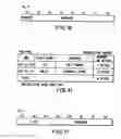 Fig. 31 - Information recording method, information recording medium, and information reproducing method, wherein information is stored on a data recording portion and a management information recording portion