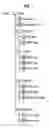 Fig. 02 - Recording medium storing a text subtitle stream, method and apparatus for reproducing a text subtitle stream to display a text subtitle