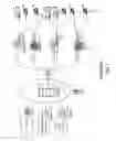 Fig. 02 - Burst data reception method and apparatus in EPON