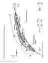 Fig. 10 - Turbomachine with variable stator